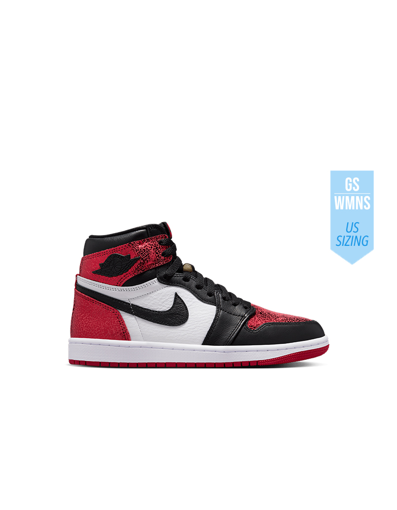 Air Jordan 1 Retro High OG