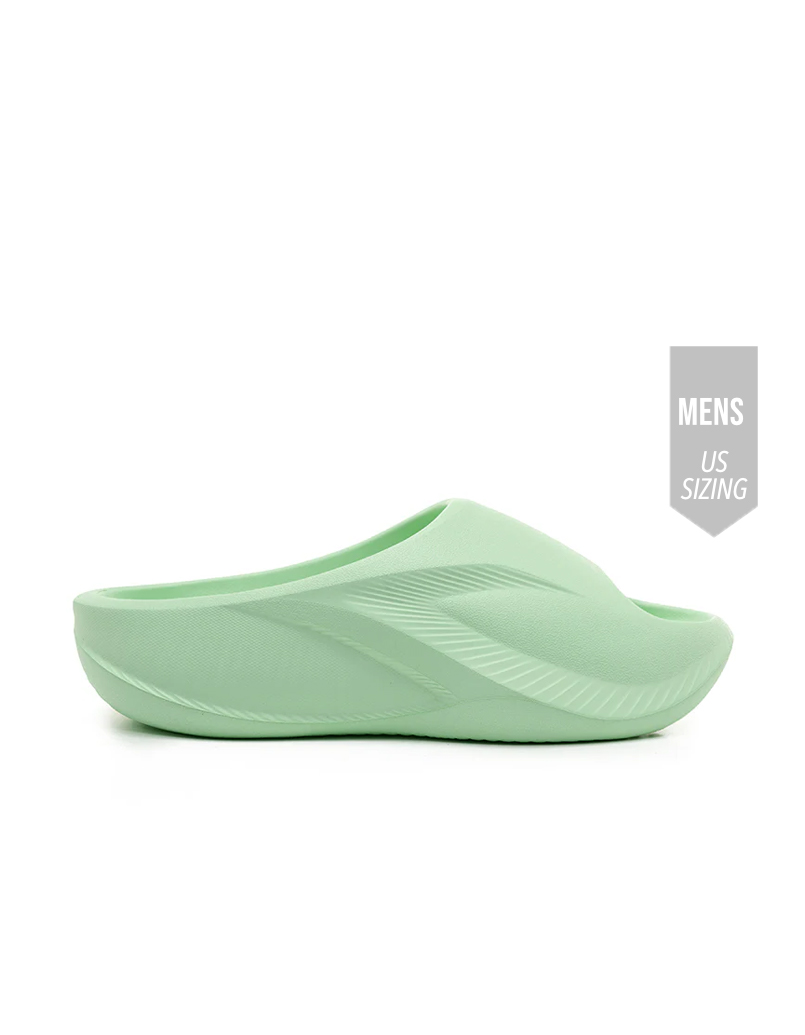 HORIZON 3 SLIDES (F.Green)