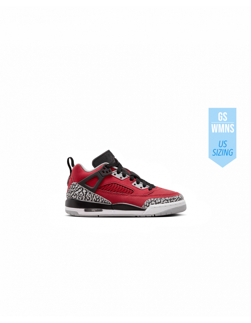 Jordan Spizike Low GS