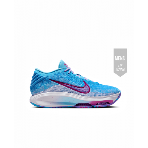 新品 NIKE G.T. HUSTLE3 PB EP 29cm Nike G.T. Hustle 3 Basketball Shoes. Nike.com
